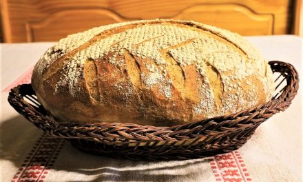 Ο ΚΑΡΠΟΣ ΤΗΣ ΕΥΤΥΧΙΑΣ  Το ψωμί στην αρχαία Ελλάδα